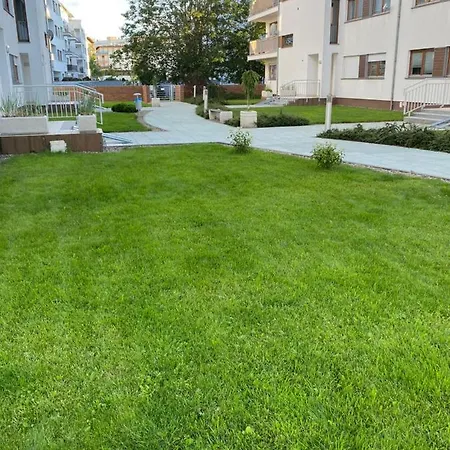 Forest * Świnoujście