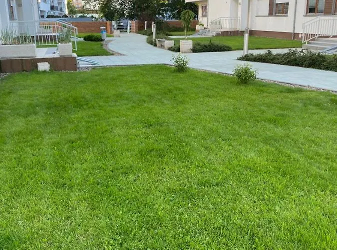 Forest * Świnoujście